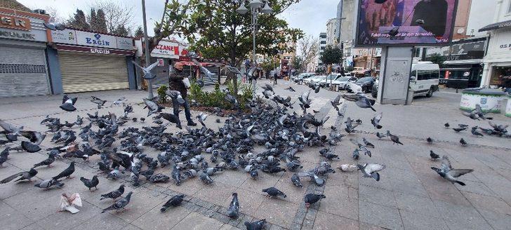 Silivri’de aç kalan güvercinleri polis besledi G3