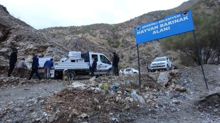 Şemdinli belediyesi sokak hayvanları için önemli bir adım attı G2