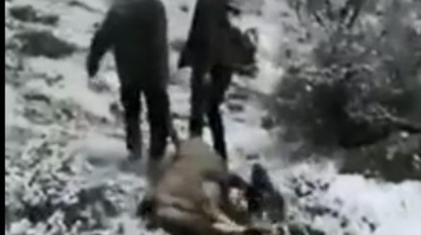 Dağ ke&ccedil;isi avlayan avcılar sosyal medyanın g&uuml;ndeminde