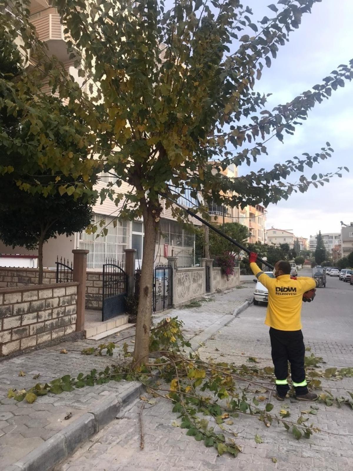Didim&rsquo;in &ccedil;ehresi değişiyor