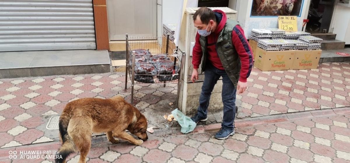 &Ccedil;arşı esnafı sokak hayvanlarına sahip &ccedil;ıkıyor