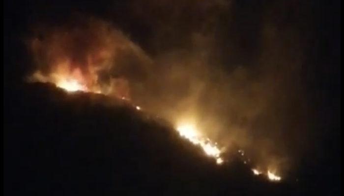 Hatay'da, 4 farklı noktada ağaçlık bölgede yangın