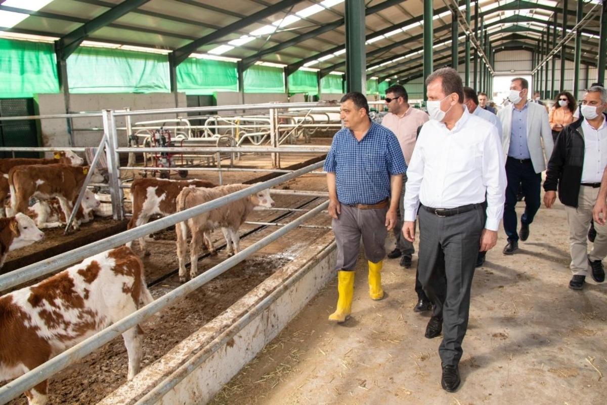 Mersin B&uuml;y&uuml;kşehir Belediyesi, 2021&rsquo;de tarım projelerine 24 milyon lira harcayacak