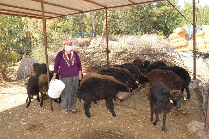 Mersin Büyükşehir Belediyesi, 2021’de tarım projelerine 24 milyon lira harcayacak G4