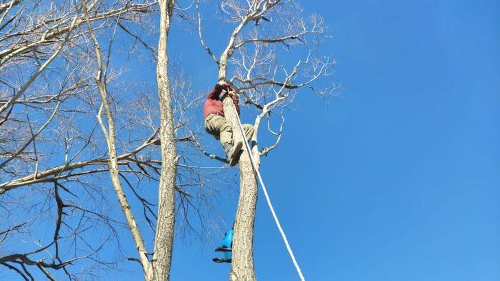 Sultan Sazlığı’nda kış hazırlıkları tüm hızıyla sürüyor G3