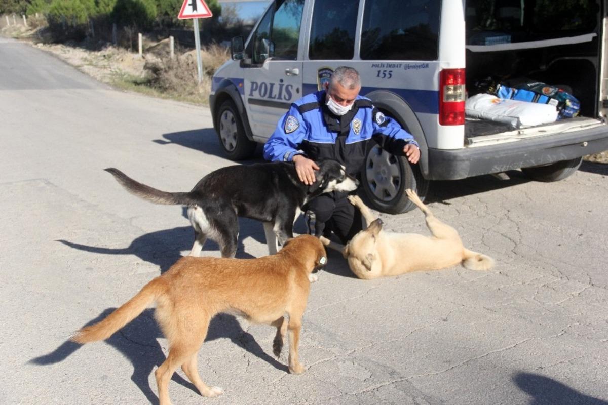 Adana polisi sokak k&ouml;peklerini unutmadı