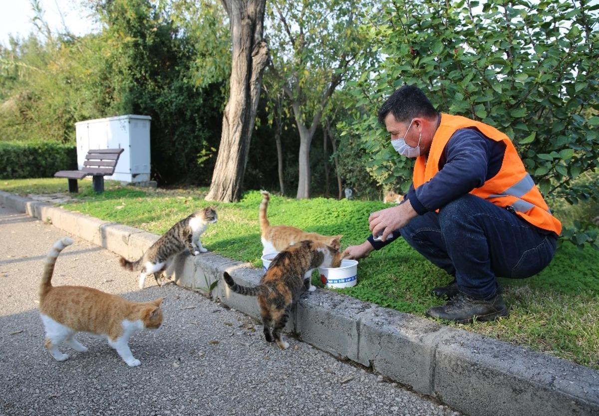Kısıtlamada sokak hayvanları unutulmadı