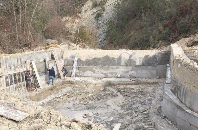 Samsun Büyükşehir Belediyesi’nden tarım üreticisine tam destek