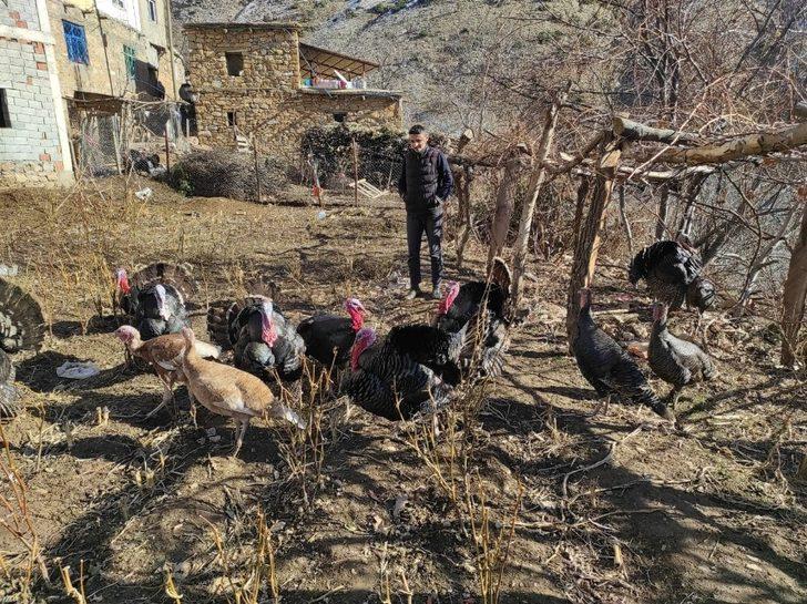 Batman’da hindiler yılbaşı öncesi satışa çıkarıldı G3