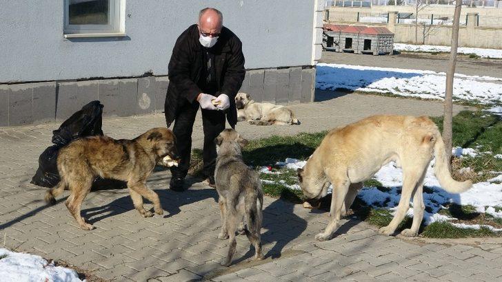 Muş Halk Ekmek Fabrikasının ilk deneme ekmekleri sokak hayvanlarına verildi G2