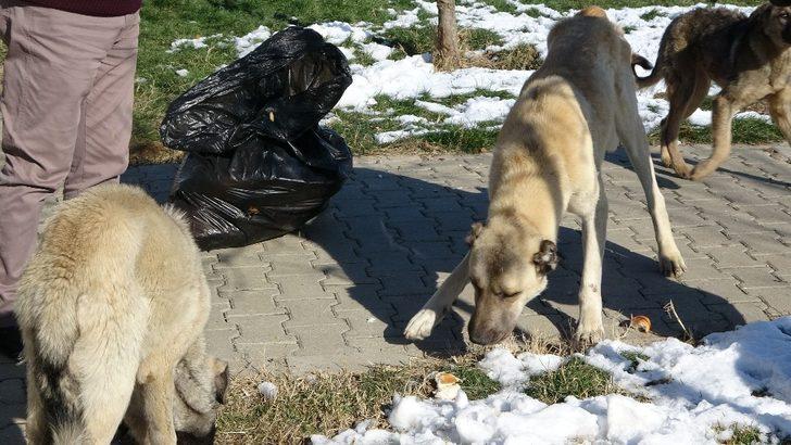Muş Halk Ekmek Fabrikasının ilk deneme ekmekleri sokak hayvanlarına verildi G4