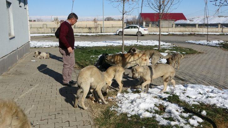 Muş Halk Ekmek Fabrikasının ilk deneme ekmekleri sokak hayvanlarına verildi G5