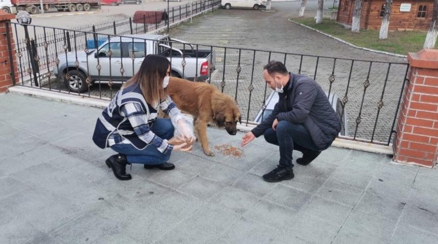 Polisler sokak hayvanlarını besledi