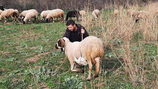 Havranlı çoban paylaştığı videolarla sosyal medya fenomeni oldu