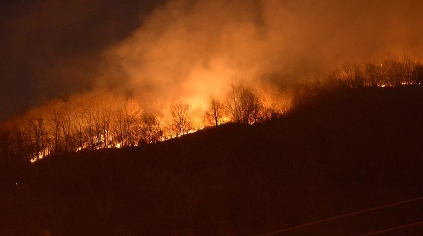 Ordu'da yangın! Saatlerdir m&uuml;dahale ediyor