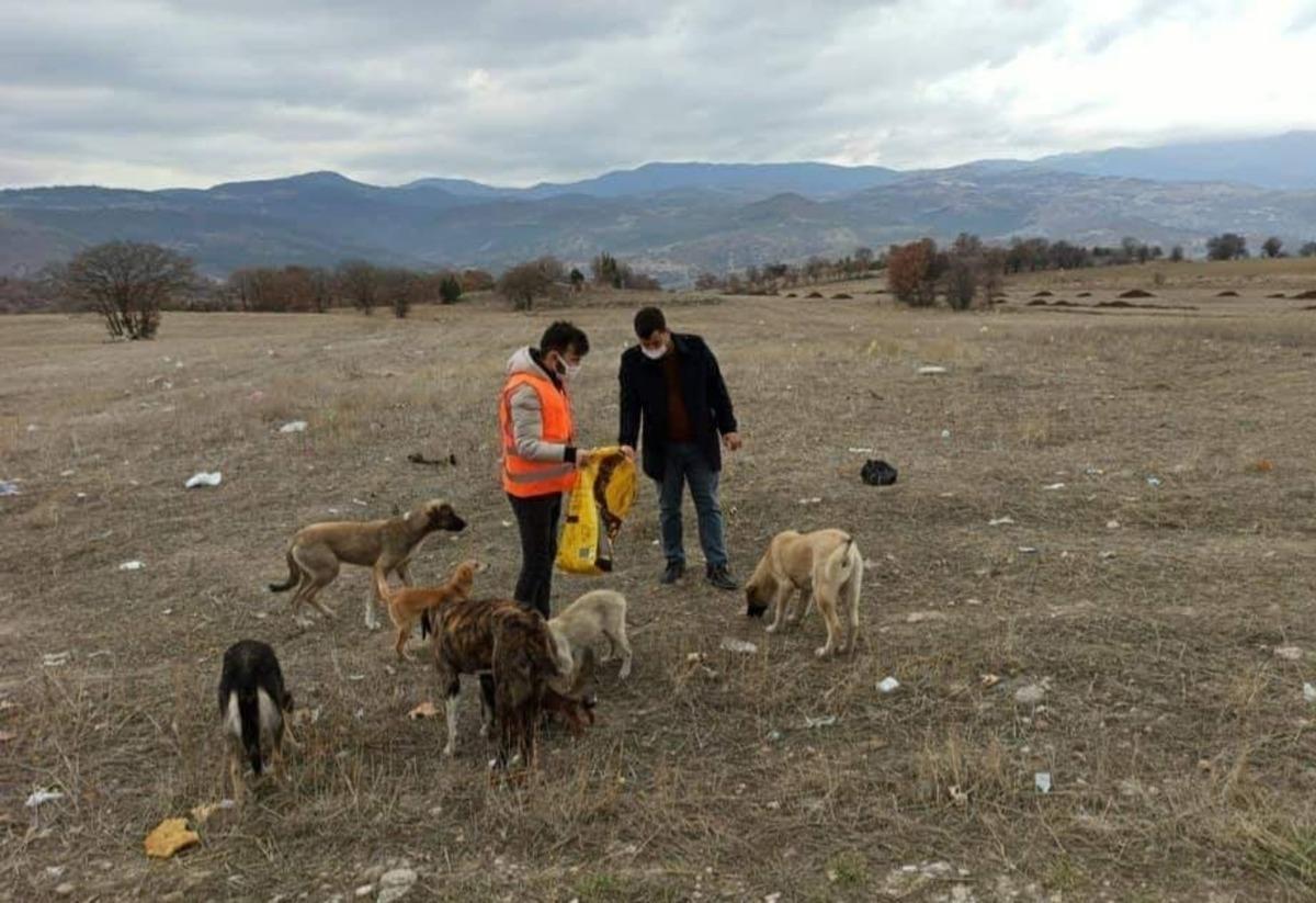 AK Gen&ccedil;lik sokak hayvanlarını unutmadı