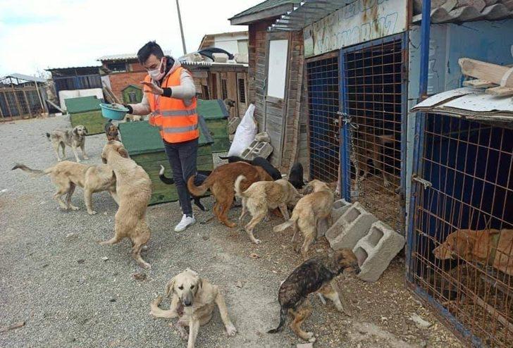 AK Gençlik sokak hayvanlarını unutmadı G2