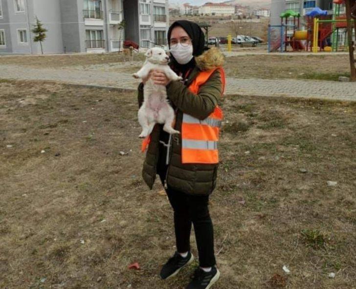 AK Gençlik sokak hayvanlarını unutmadı G4