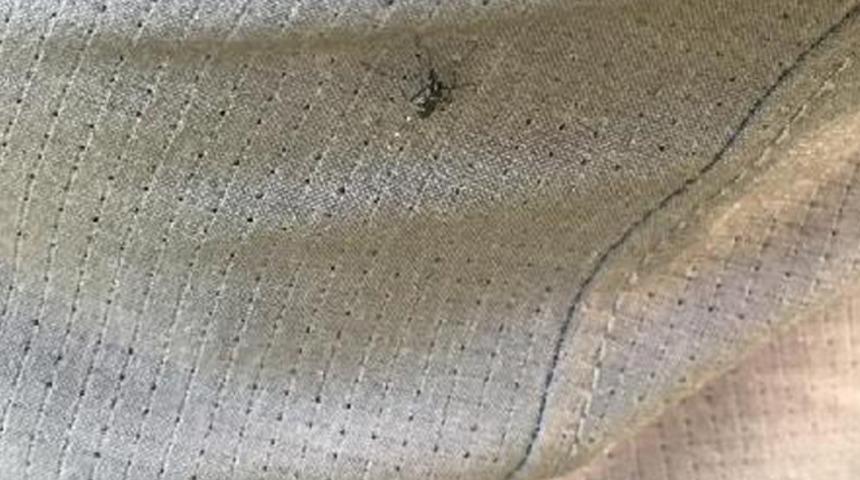 Uzmanı uyardı! İstanbul'u bekleyen büyük tehlike