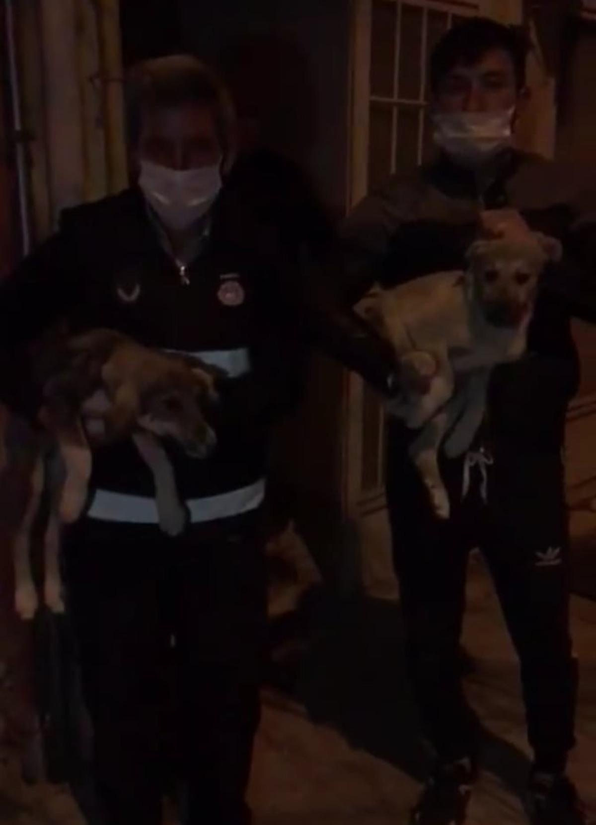 &Ccedil;atıda mahsur kalan 2 yavru k&ouml;pek kurtarıldı