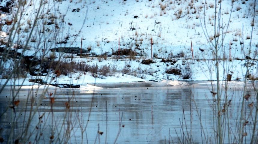 Doğu Anadolu buz kesti