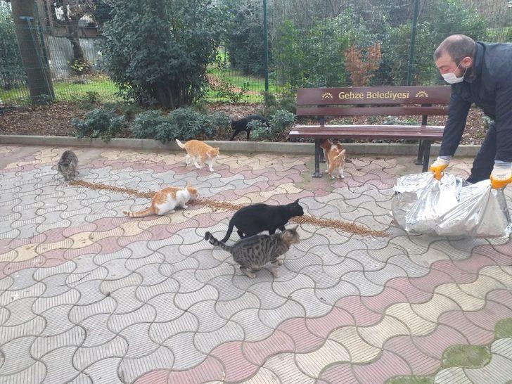 Gebze’de kısıtlama günlerinde belediyenin çalışmaları sürüyor G5