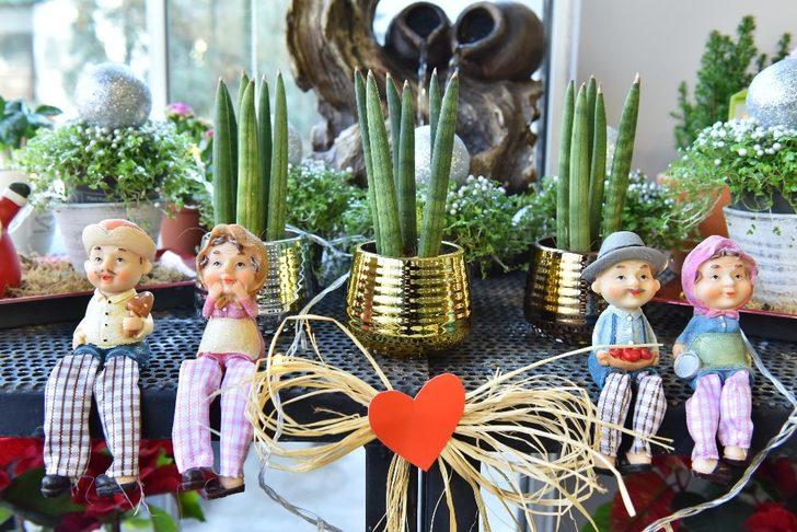 ANFA Bitki Evi’nde yeni yıl çiçekleri Başkentlileri bekliyor G3