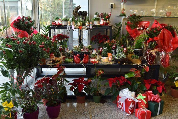ANFA Bitki Evi’nde yeni yıl çiçekleri Başkentlileri bekliyor G5