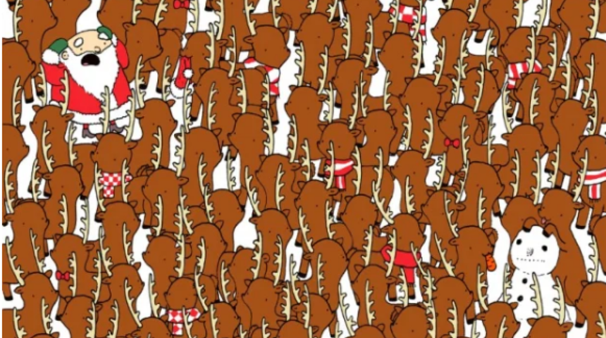 Muhtemelen bu resimdeki boz ayıyı bulamazsınız!