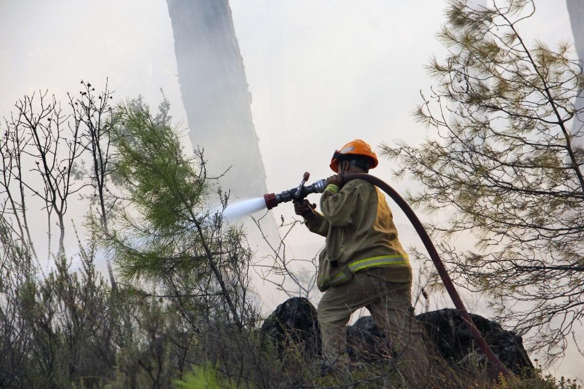 Pandemi d&ouml;neminde 813 hektar alan yandı