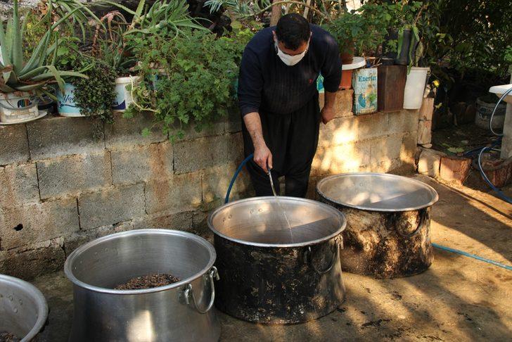 Mersin'de keçiboynuzunun pekmeze yolculuğu başladı G4