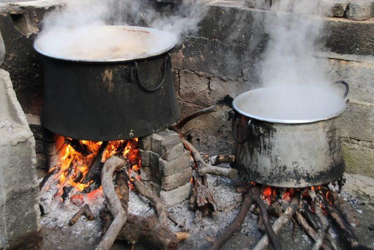 Mersin'de keçiboynuzunun pekmeze yolculuğu başladı G5