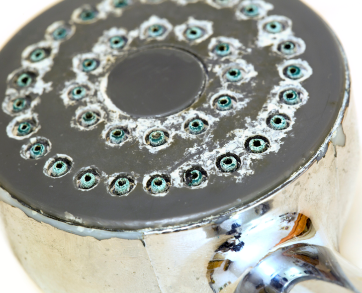 Duş başlığındaki kireci kökünden söküp atıyor! Derinlemesine temizleyen şey...