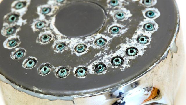 Duş başlığındaki kireci kökünden söküp atıyor! Derinlemesine temizleyen şey...