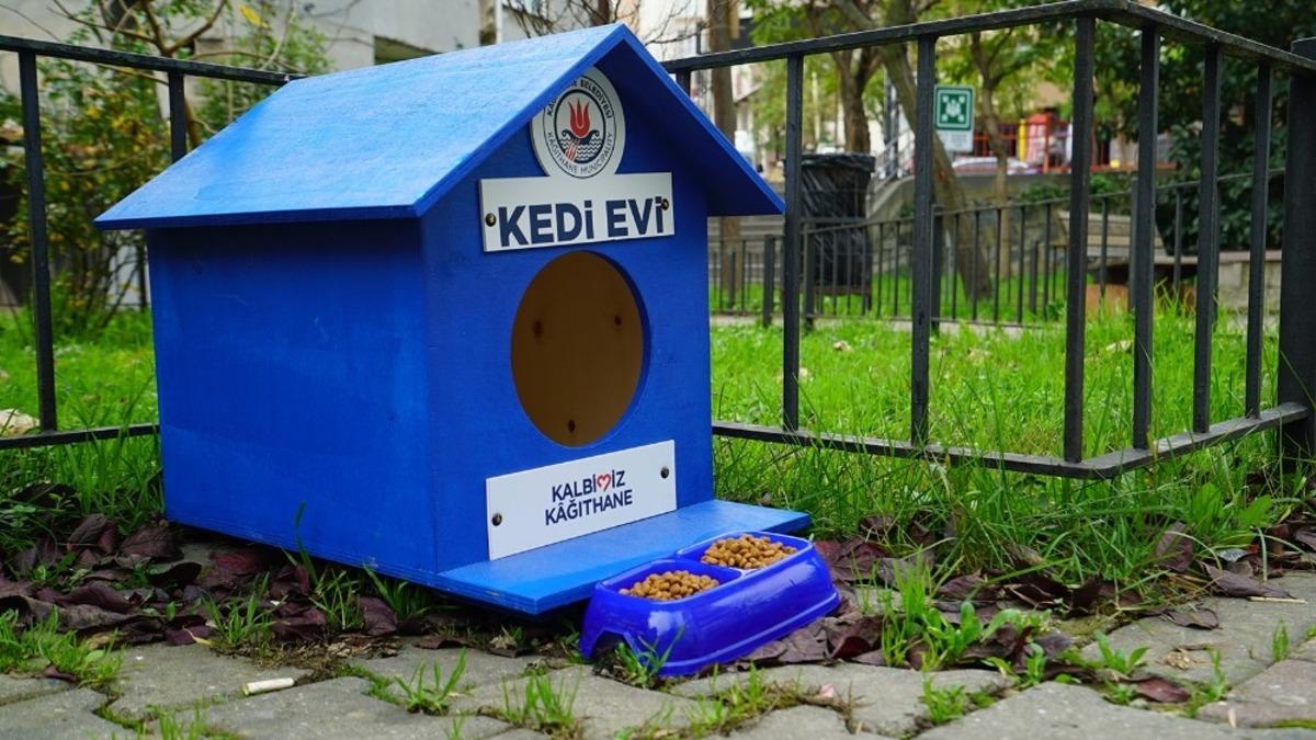 Kağıthane&rsquo;de sokak hayvanları unutulmuyor