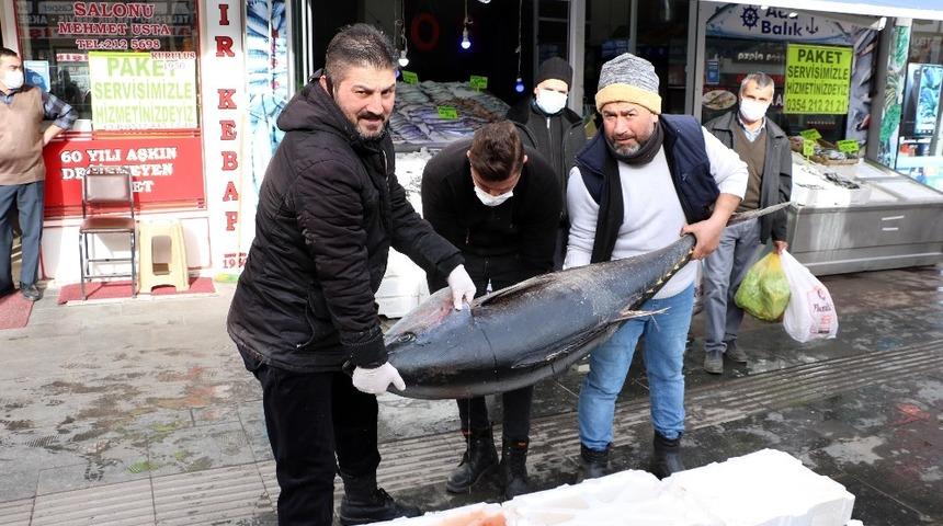 75 kilogramlık orkinos balığını 3 kişi zor kaldırdı