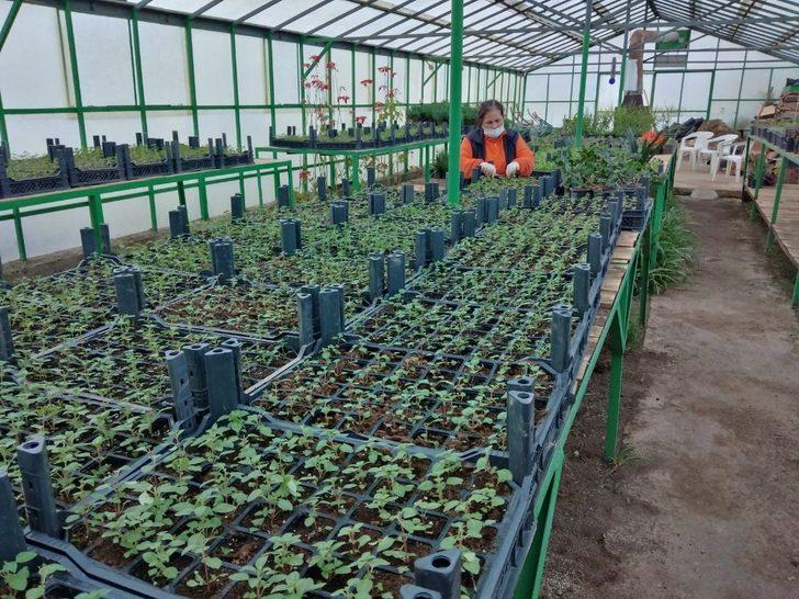 Marmaris’in çiçek seraları 1,5 milyon TL tasarruf sağlıyor G1