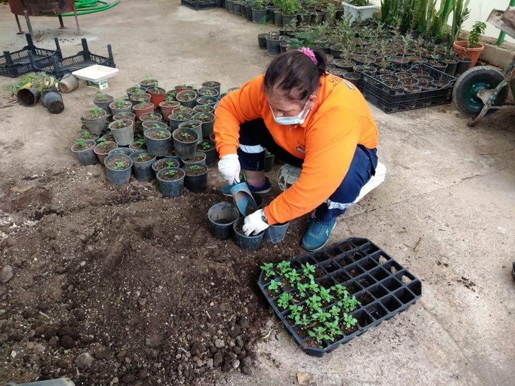 Marmaris’in çiçek seraları 1,5 milyon TL tasarruf sağlıyor G2