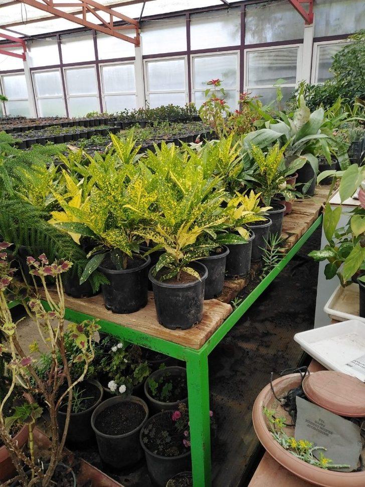 Marmaris’in çiçek seraları 1,5 milyon TL tasarruf sağlıyor G4