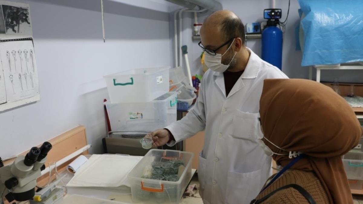 İla&ccedil;ların olumsuz etkileri deney hayvanlar &uuml;zerinde araştırılıyor