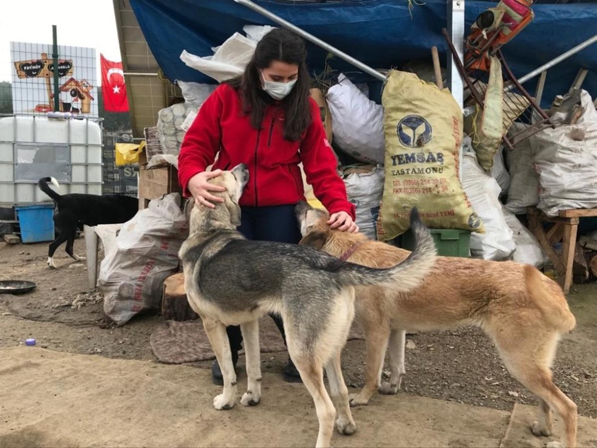 &Uuml;niversite &ouml;ğrencileri engelli ve yavru k&ouml;pekleri besledi