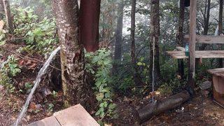 Ağacın gövdesini musluk yaptı