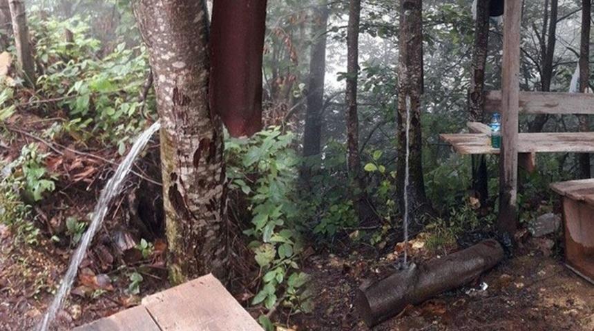 Ağacın gövdesini musluk yaptı