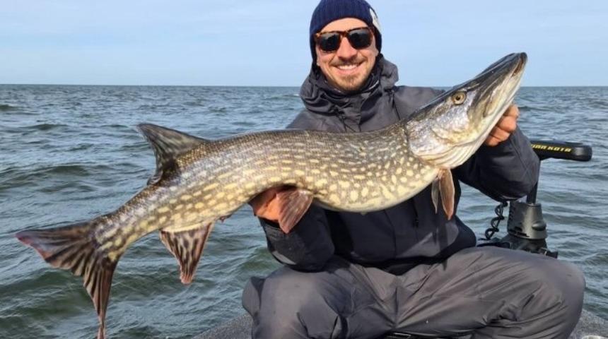 Ibrahimovic orman satın aldı