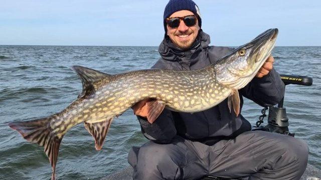 Ibrahimovic orman satın aldı