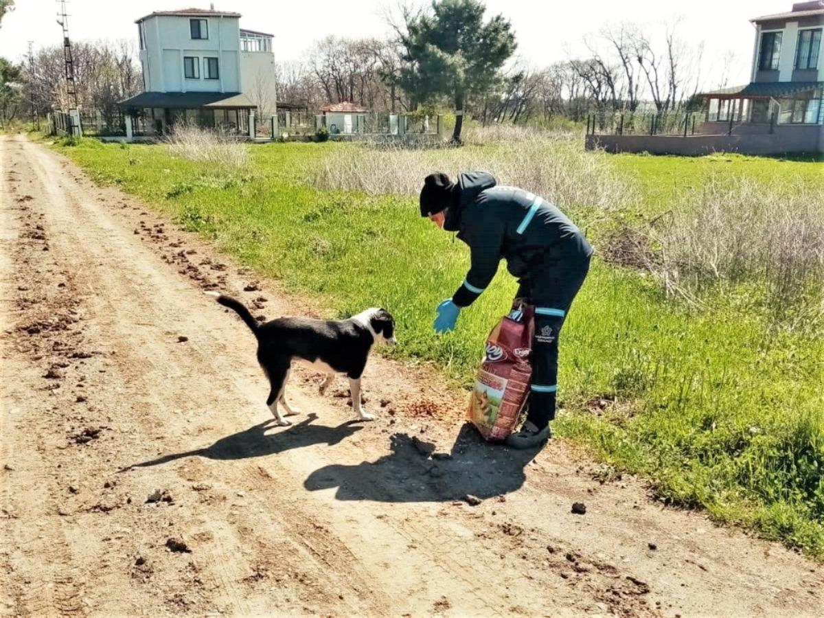 Sokağa &ccedil;ıkma kısıtlamasında sokak hayvanları yalnız kalmadı