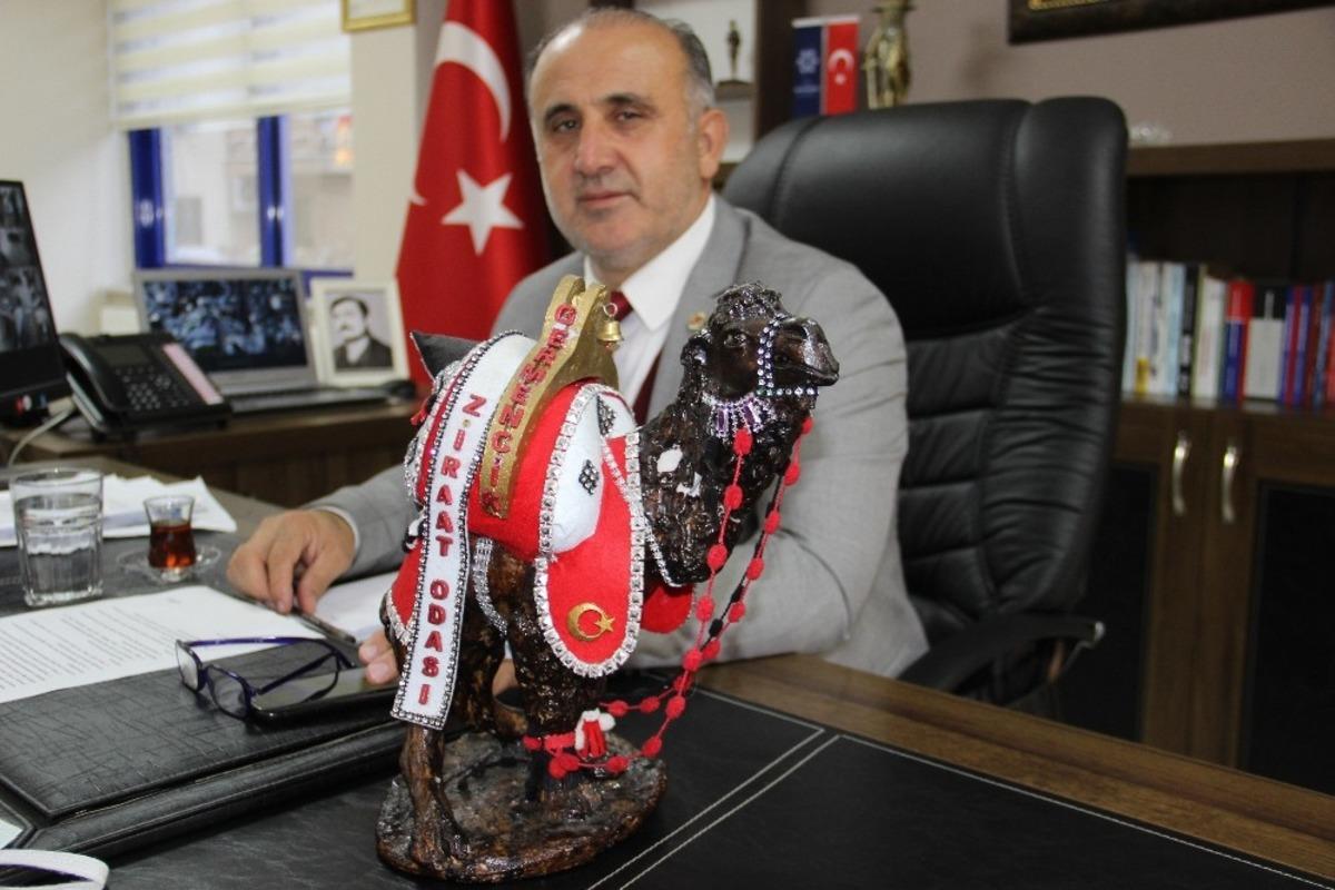 Korona vir&uuml;s, hayvanlar aleminde en &ccedil;ok develeri etkiledi