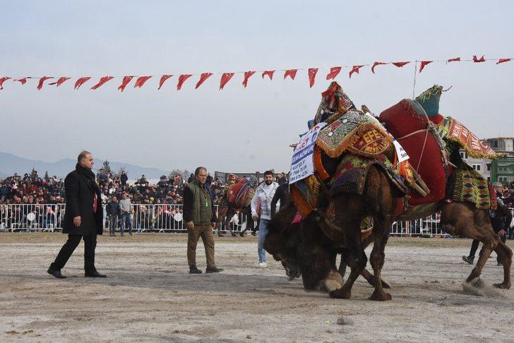 Korona virüs, hayvanlar aleminde en çok develeri etkiledi G2