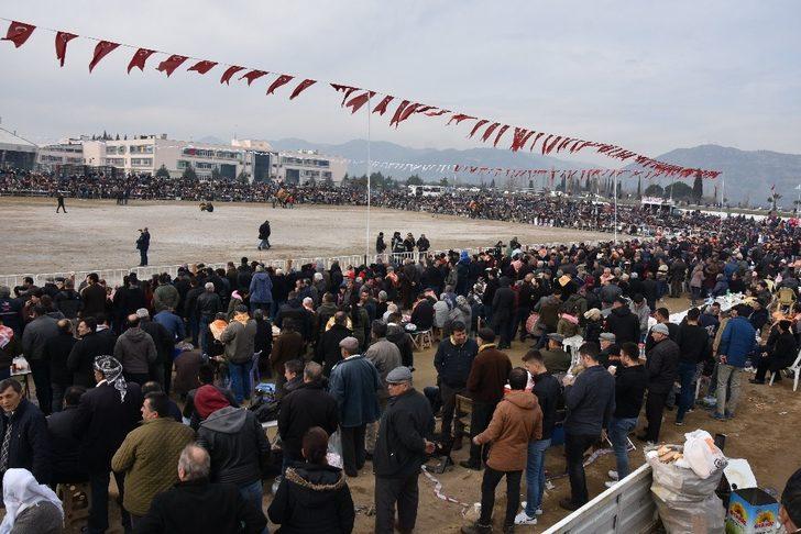 Korona virüs, hayvanlar aleminde en çok develeri etkiledi G3