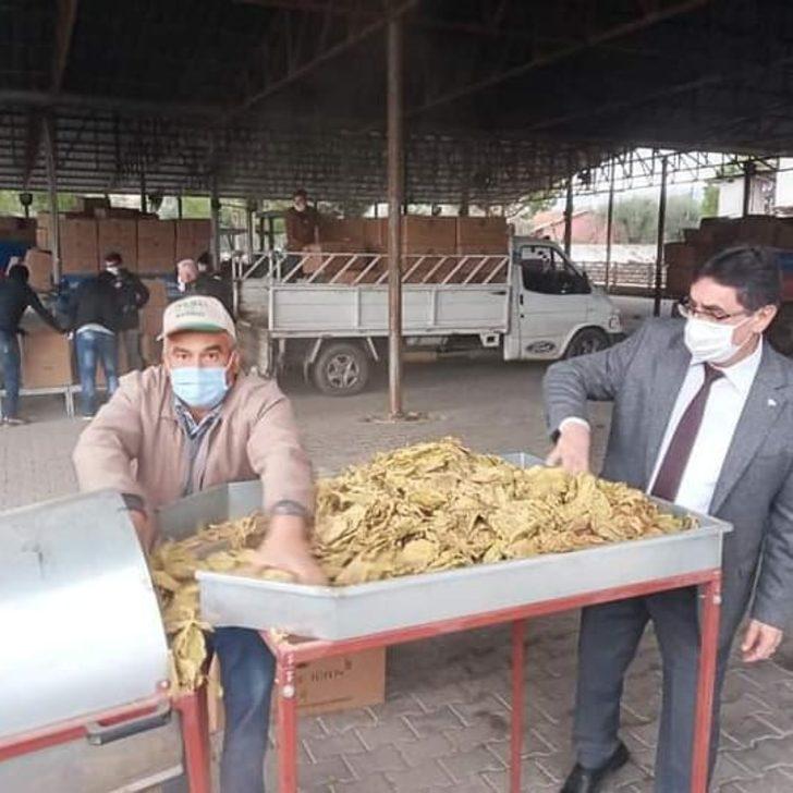 Başkan İnal; "Tütün üreticilerimiz mağdur oldu" G5